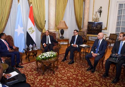 وزير الخارجية المصري ونظيره الصومالي يبحثان التطورات في القرن الأفريقي