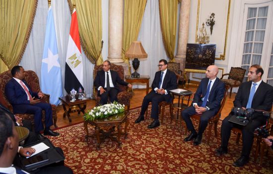 وزير الخارجية المصري ونظيره الصومالي يبحثان التطورات في القرن الأفريقي