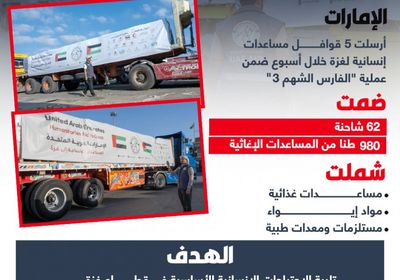 دعم إنساني متواصل.. 5 قوافل إماراتية جديدة تحمل 980 طنًا من المساعدات إلى غزة (إنفوجراف)
