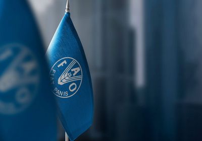 "فاو": تراجع مستويات الجوع عالمياً للعام الثالث على التوالي