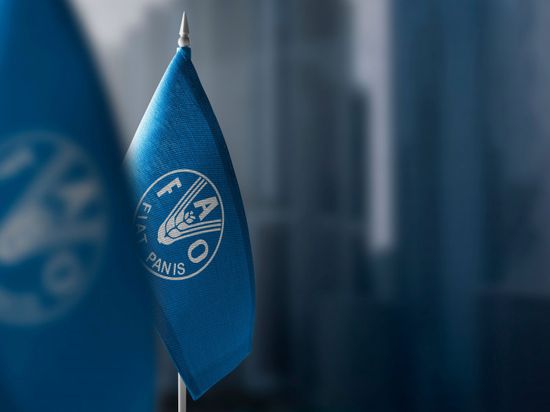 "فاو": تراجع مستويات الجوع عالمياً للعام الثالث على التوالي