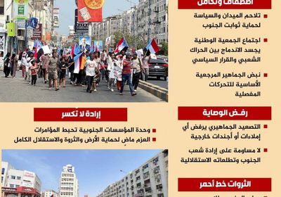 الجنوب يرسخ اصطفافه لحماية أرضه وثرواته (إنفوجراف)