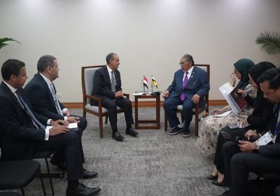 وزير الخارجية المصري يبحث مع نظيره في سلطنة بروناي تعزيز العلاقات الثنائية