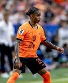 الهلال السعودي يضم الهولندي سمرفيل لأربعة أعوام
