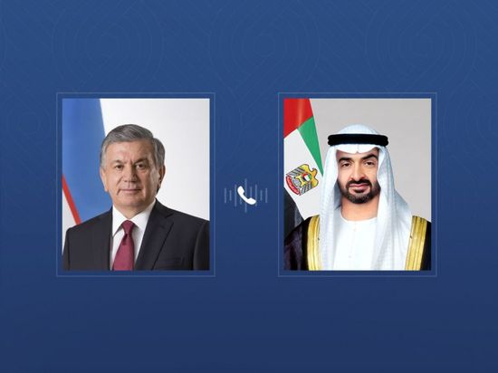 الشيخ&nbsp;محمد بن زايد ورئيس أوزبكستان يبحثان تعزيز التعاون&nbsp;