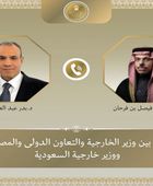 وزير الخارجية المصري يبحث مع نظيره السعودي جهود خفض التصعيد في المنطقة