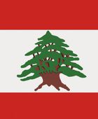 الجيش اللبناني يعلن ضبط مليون حبة كبتاجون