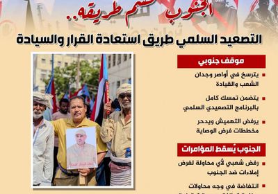 الجنوب يحسم طريقه.. التصعيد السلمي طريق استعادة القرار والسيادة (إنفوجراف)