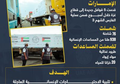 ضمن "الفارس الشهم 3".. وصول 938 طناً من المساعدات إلى غزة (إنفوجراف)