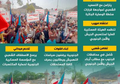 نفير المؤسسة العسكرية.. جيش الجنوب يحشد لانتزاع الحقوق (إنفوجراف)