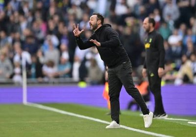 دي تسيربي يرغب في بقاء بيرجفال مع توتنهام