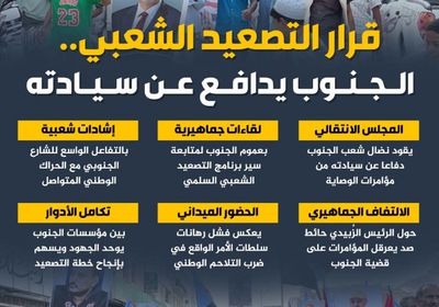 قرار التصعيد الشعبي.. الجنوب يدافع عن سيادته (إنفوجراف)