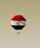 مصر وتركيا وقطر تدين استمرار الانتهاكات الإسرائيلية في غزة