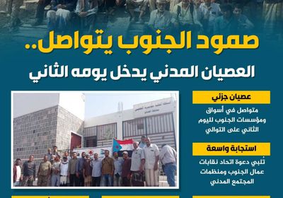 صمود الجنوب يتواصل.. العصيان المدني يدخل يومه الثاني (إنفوجراف)