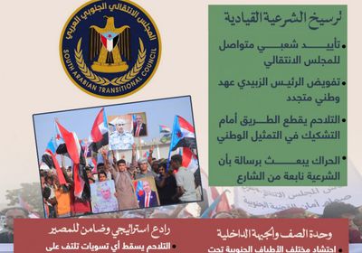 رسالة الميدان الجنوبي.. تجديد التفويض للرئيس الزُبيدي (إنفوجراف)