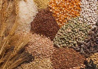 "الفاو" ترجح استمرار ارتفاع أسعار السلع الزراعية حتى ديسمبر