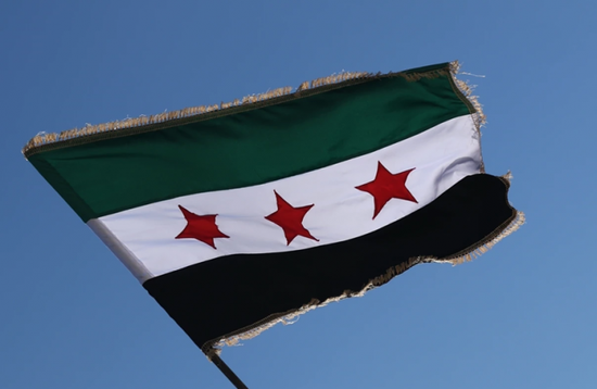 &laquo;العفو الدولية&raquo; تطالب سوريا بإلغاء حكم إعدام بشار وماهر الأسد