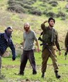 مستوطنون يعتدون على طبيب فلسطيني