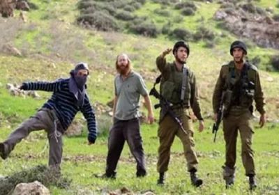 مستوطنون يعتدون على طبيب فلسطيني