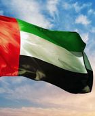 الإمارات تدين الغارات الإسرائيلية على مطار عسكري في إدلب