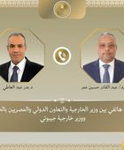 هاتفياً.. وزير الخارجية المصري يبحث مع نظيره الجيبوتي تعزيز العلاقات الثنائية