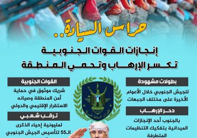حراس السيادة.. إنجازات القوات الجنوبية تكسر الإرهاب وتحمي المنطقة (إنفوجراف)