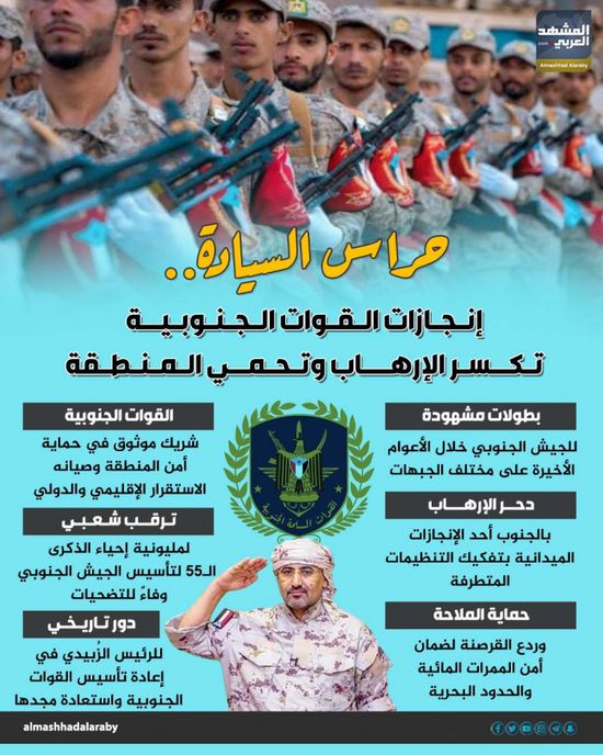 حراس السيادة.. إنجازات القوات الجنوبية تكسر الإرهاب وتحمي المنطقة (إنفوجراف)