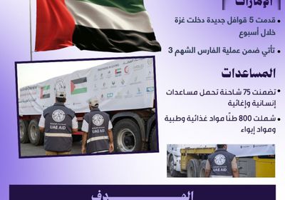 800 طن مساعدات إماراتية جديدة تصل إلى غزة عبر 75 شاحنة (إنفوجراف)