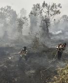 إندونيسيا تحذر من مخاطر صحية لملايين الأشخاص بسبب دخان الحرائق