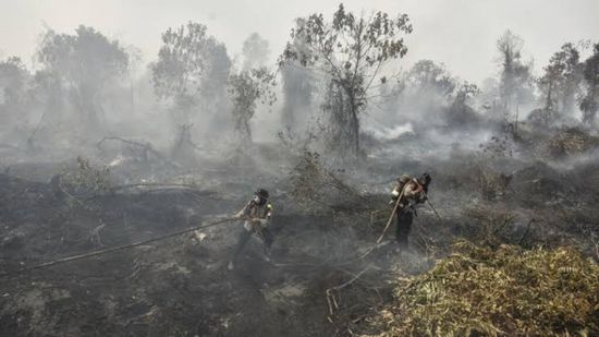 إندونيسيا تحذر من مخاطر صحية لملايين الأشخاص بسبب دخان الحرائق