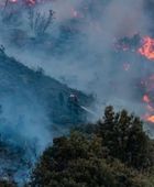 مصرع 12 شخصًا في حرائق غابات بالجزائر