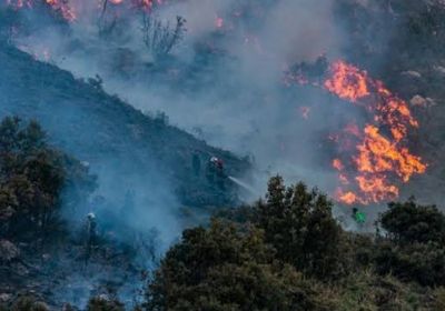 مصرع 12 شخصًا في حرائق غابات بالجزائر