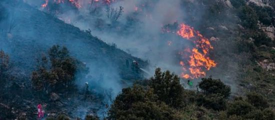 مصرع 12 شخصًا في حرائق غابات بالجزائر