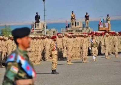 عقيدة الشرف والوفاء.. نضال القوات الجنوبية يحمي الثوابت وينتصر للهوية