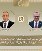 هاتفيًا.. وزير الخارجية المصري يبحث مع كبير مستشاري ترامب التطورات في السودان