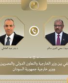 هاتفياً.. وزير الخارجية المصري يبحث مع نظيره السوداني التطورات في المنطقة