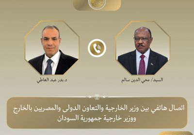 هاتفياً.. وزير الخارجية المصري يبحث مع نظيره السوداني التطورات في المنطقة