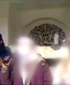 سلطات الوصاية تطلق سراح القاعدي "أبو مصعب" من أحد سجون عدن