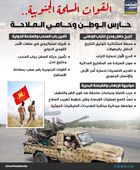 القوات المسلحة الجنوبية.. حارس الوطن وحامي الملاحة (إنفوجراف)