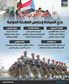 جيش الجنوب فخرنا.. درع السيادة وحارس الملاحة الدولية (إنفوجراف)