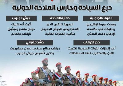 جيش الجنوب فخرنا.. درع السيادة وحارس الملاحة الدولية (إنفوجراف)