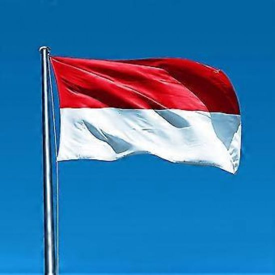 إندونيسيا تغلق 9 حدائق بسبب حرائق الغابات
