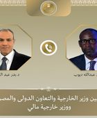 وزير الخارجية المصري ونظيره المالي يبحثان سبل التطورات الأوضاع في منطقة الساحل