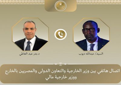وزير الخارجية المصري ونظيره المالي يبحثان سبل التطورات الأوضاع في منطقة الساحل