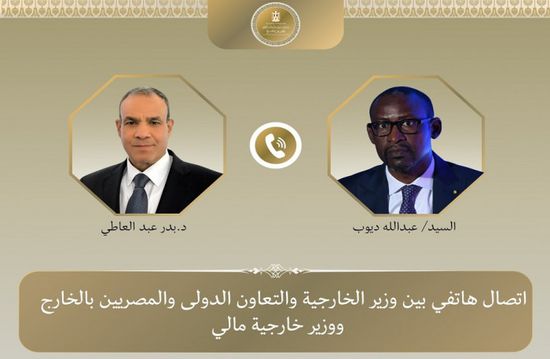 وزير الخارجية المصري ونظيره المالي يبحثان سبل التطورات الأوضاع في منطقة الساحل