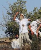 مستعمرون يقتحمون منازل الفلسطينيين شمال رام الله
