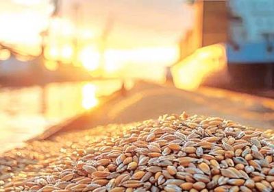 روسيا تعلق رسوم تصدير الحبوب لمواجهة أزمات الشحن