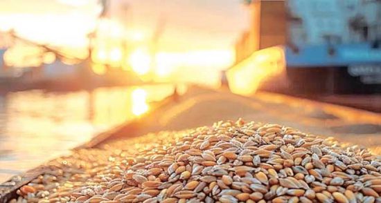 روسيا تعلق رسوم تصدير الحبوب لمواجهة أزمات الشحن