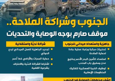 الجنوب وشراكة الملاحة.. موقف صارم بوجه الوصاية والتحديات (إنفوجراف)