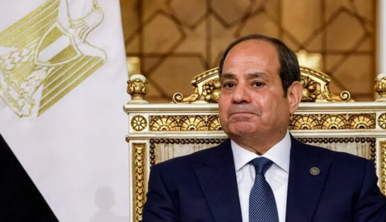 الرئيس السيسي يبحث مع مدير الاستخبارات الأمريكية التطورات في المنطقة